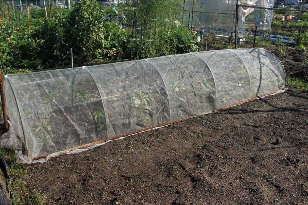 cheesecloth gardening